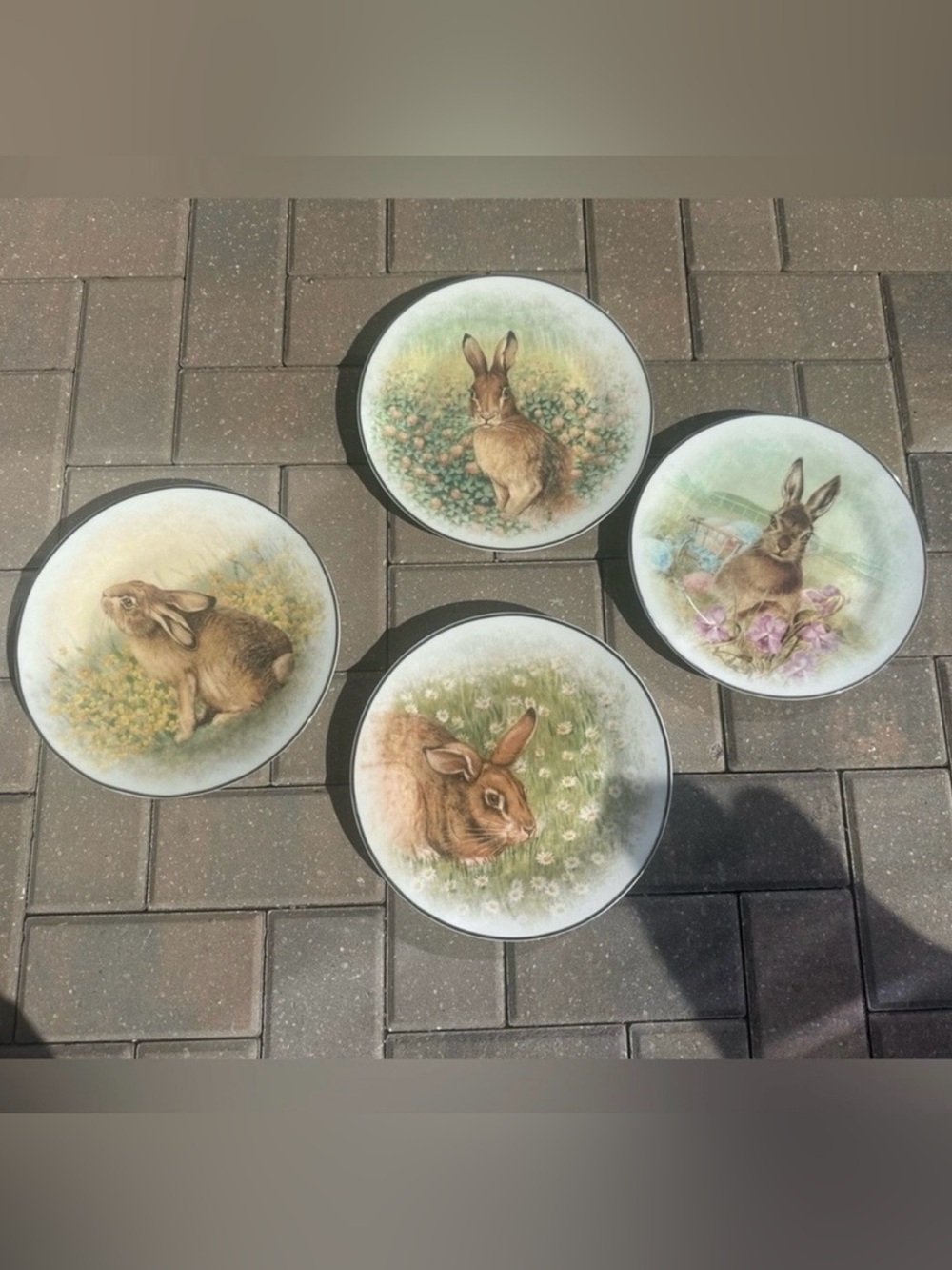 Pottery Barn Easter Rabbit
Dinner Plates
Set of Four Cottagecore
Shabby chic